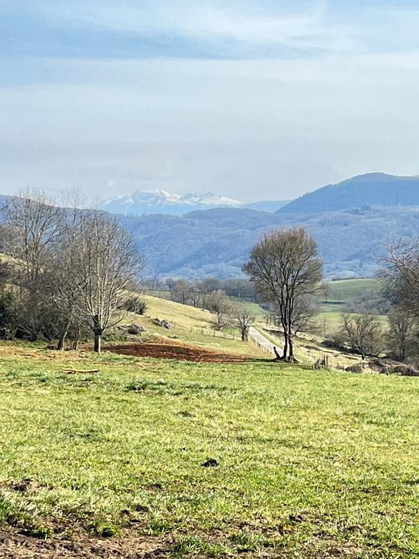 Green meadows with views towards the Pyrenees